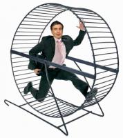 Первый человек, который пробежал по «мертвой петле»