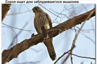 15 доказательств, что добро неподвластно обстоятельствам