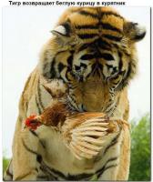 15 доказательств, что добро неподвластно обстоятельствам