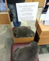 На аптечных стеройдах сидит!