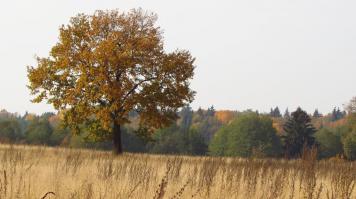 Фотоподборка за 28.10.2014