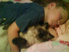 А ЭТО МОИ КОТЕНКИ