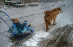 Тоже в этом году заехал в новый дом и также взял средне-азиата ;) Дрессировал сам на базовые команды - но убил кучу времени и терпения. Будку сделал похожую, только все попытки закрыть чем-то вход не увенчались успехом - отрывает все, как не крепил. А вот и он: