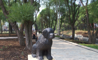 Памятник собаке-спасателю в Перми. Даже легенда про нее есть...