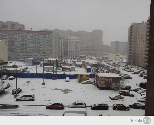 во-во... у нас на Комендантском вон чего творится...