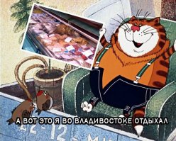 Краткий кошачий путеводитель по философии