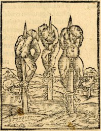 НА КОЛ СУКУ