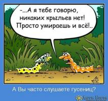 Приведения,полтергейст,домовые.Мир необъяснимого.