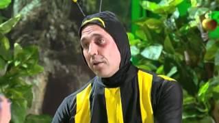 Это были плчеловеки