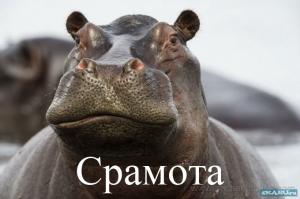Африканская идиллия 
