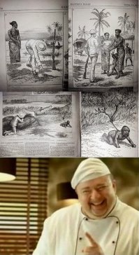 Факты в картинках