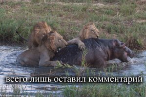 Милая борщ готов или вечный спор про АК