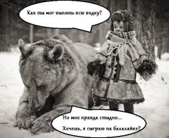 Немного стереотипных мишек