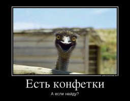 Меня порвало на 1:08 когда он снова заглянул в окно