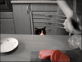 перед атакой...