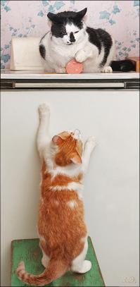 отдай колбасу, я все прощу!!! 12 стульев (с)