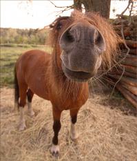 ай маладца, дай поцелую!!!;)