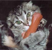 сам не понимаю как так получилось...