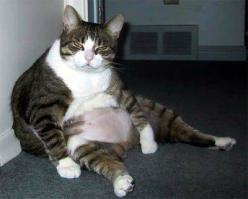 кто там про дискомфорт говорил?..