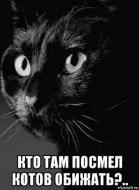 слово котам...