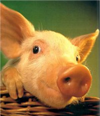 как все мило...