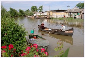 деревенька ты моя любимая... и такая разная...