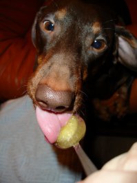 чойта медку захотелось...