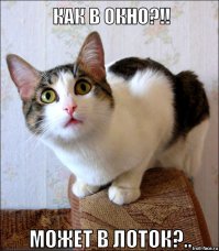 Сфотографировал пейзаж