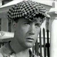 Гениальный актёр, жалко что тут нет фотки его роли Шуры Балаганова..., имхо это наигениальнейшая его роль.