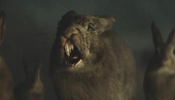 20 животных, поедающих фрукты и ягоды, которые выглядят как кровожадные монстры