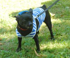 4-ОбрСпН.С ПРАЗДНИКОМ!!!Никто кроме нас!