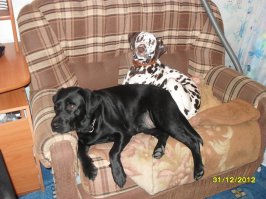 наши подружки) любовь нерастащимая)))))