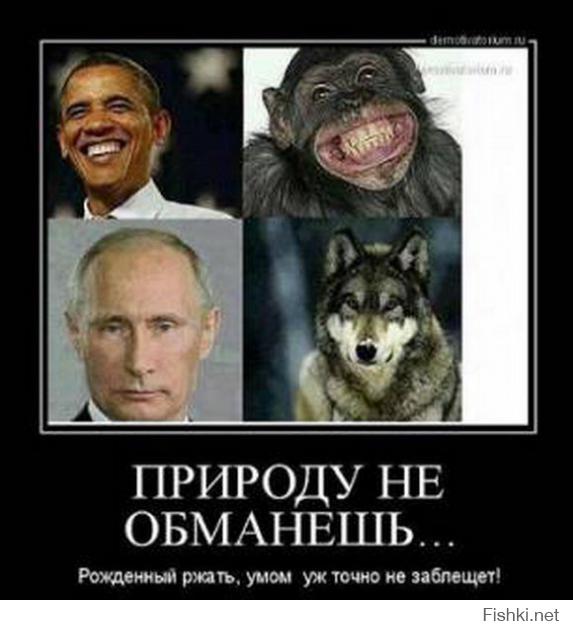 Путин в Крыму, эмоции людей