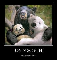20 фотографий обнимашек, от которых становится теплее на душе