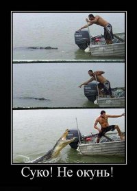 Отхватил леща