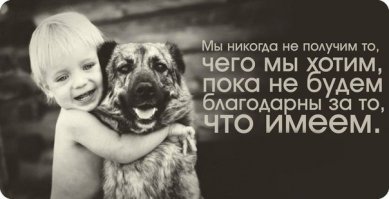 Вот она настоящая любовь!