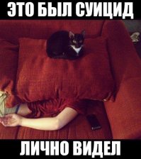 Вот она настоящая любовь!