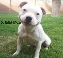 Подборка демотиваторов