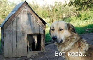Подборка демотиваторов