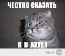 10 знаменитостей Голливуда, которым вы точно поверите
