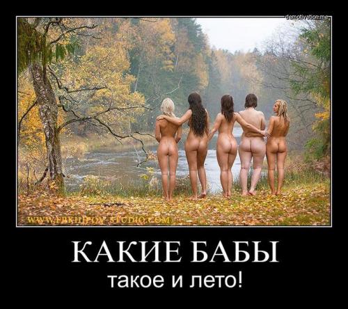 Демотиваторы