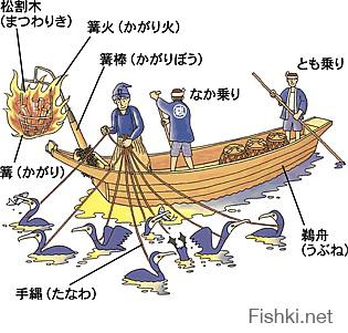 Это называется УКАИ - японская рыбалка с бакланами