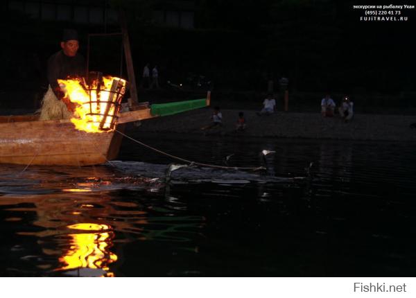 Это называется УКАИ - японская рыбалка с бакланами