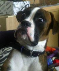 Семюэль Л. Джексон!