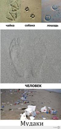 Фишкина солянка за 06.06.2014 