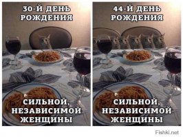 Хищные кошечки