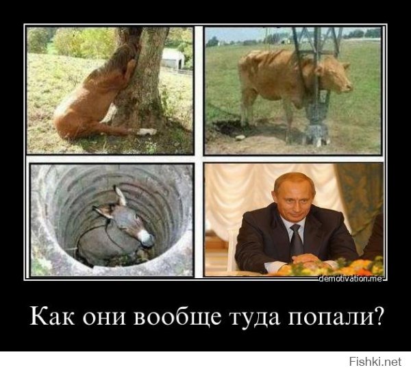 Кто ты Путин