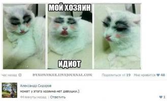 Мой хозяин идиот