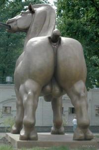 Все туристы делают это ...