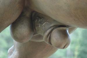 Па́мятник коню́ в Воро́неже — бронзовый трёхтонный монумент 3,5-метровой высоты, расположенный в Воронеже на 491-м километре московской трассы у отеля «Яр» и (вероятно, именно поэтому) носящий в народе кличку Ярыж. Типичный образчик дегенеративного искусства в духе Зураба Церетели.
Создателями скульптуры является семья известных воронежских скульпторов Дикуновых-Пак. Говорят, что за год работы над Ярыжем автор образа скульптуры (Максим Дикунов) похудел на двенадцать килограммов.
Многие зрители были шокированы[1] следующими элементами художественного самовыражения Дикунова:
Жеребец держит во рту обломок металлического железнодорожного рельса.
Хвост жеребца отсечён (купирован).
Половые органы коня обрезаны и анатомически выглядят скорее человеческими (в условиях России — мусульманскими или иудейскими), нежели конскими.
На транспортном форуме tr.ru один из участников из Воронежа разместил намёк на то что этот памятник (в интерпретации участника — «бешеный конь, вырывающий рельсы») символизирует бесхозяйственность и некомпетентность властей города Воронежа, уничтоживших трамвайное хозяйство, и алчность бизнесменов-маршруточников, заинтересованных в уничтожении сильного конкурента и монополизации транспортных перевозок. В этой версии памятник обыгрывает исторические реалии начала 20 века, когда извозчики ненавидели трамвай, поскольку тот перехватывал пассажиров и лишал их дохода, и всячески мешали ему развиваться.